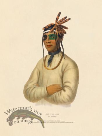 Caa-tousee Ojibway